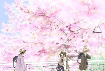 花季传媒含羞草